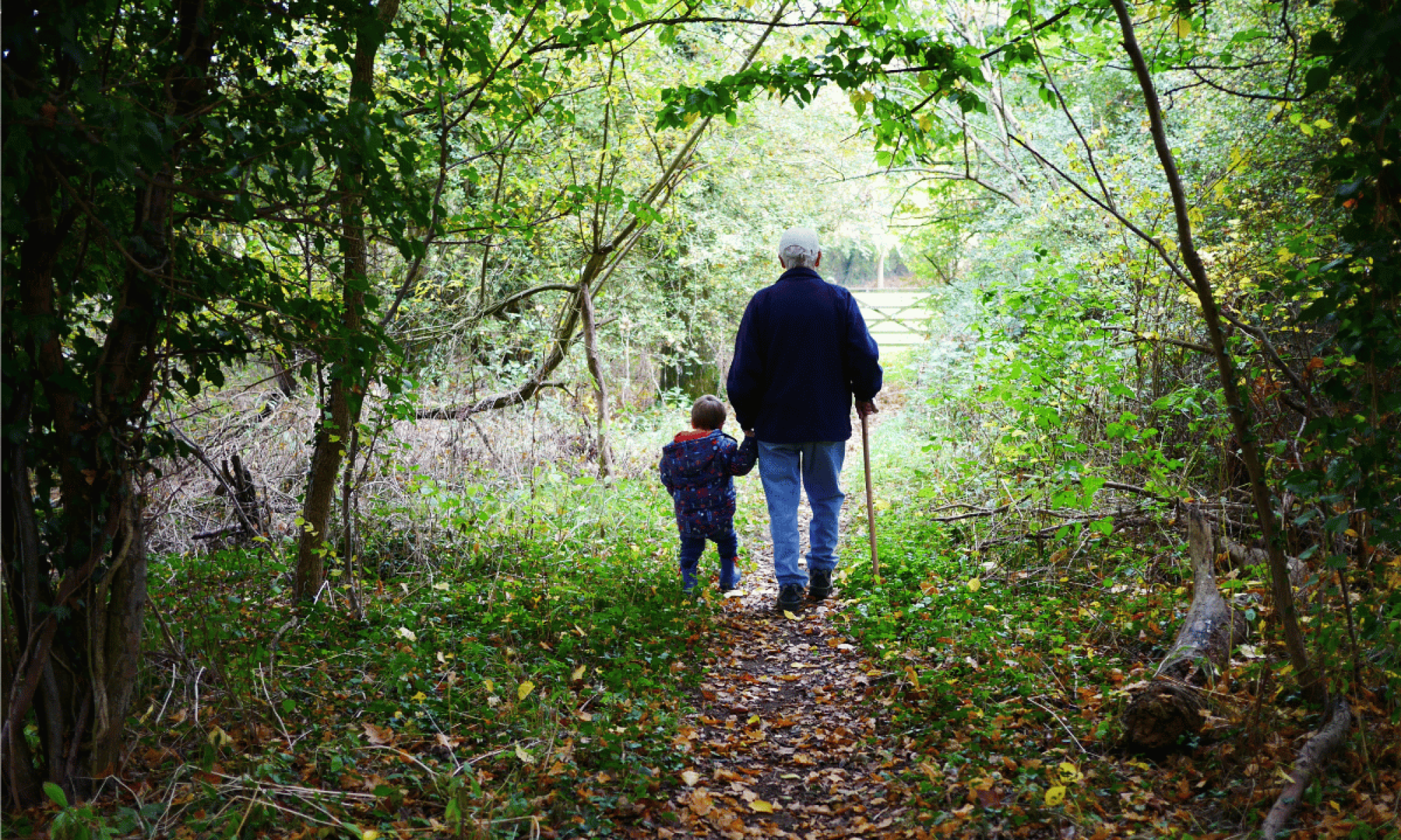 The Life Chronicles family legacy films Vancouver - family legacy preservation